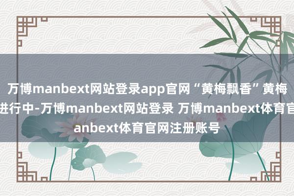 万博manbext网站登录app官网“黄梅飘香”黄梅戏专场正在进行中-万博manbext网站登录 万博manbext体育官网注册账号